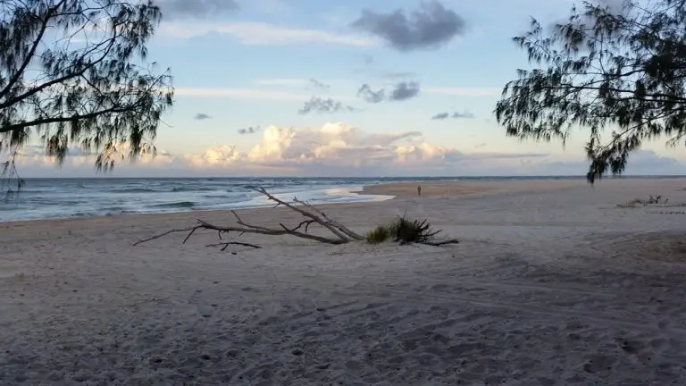 Inskip Point Camping Ground