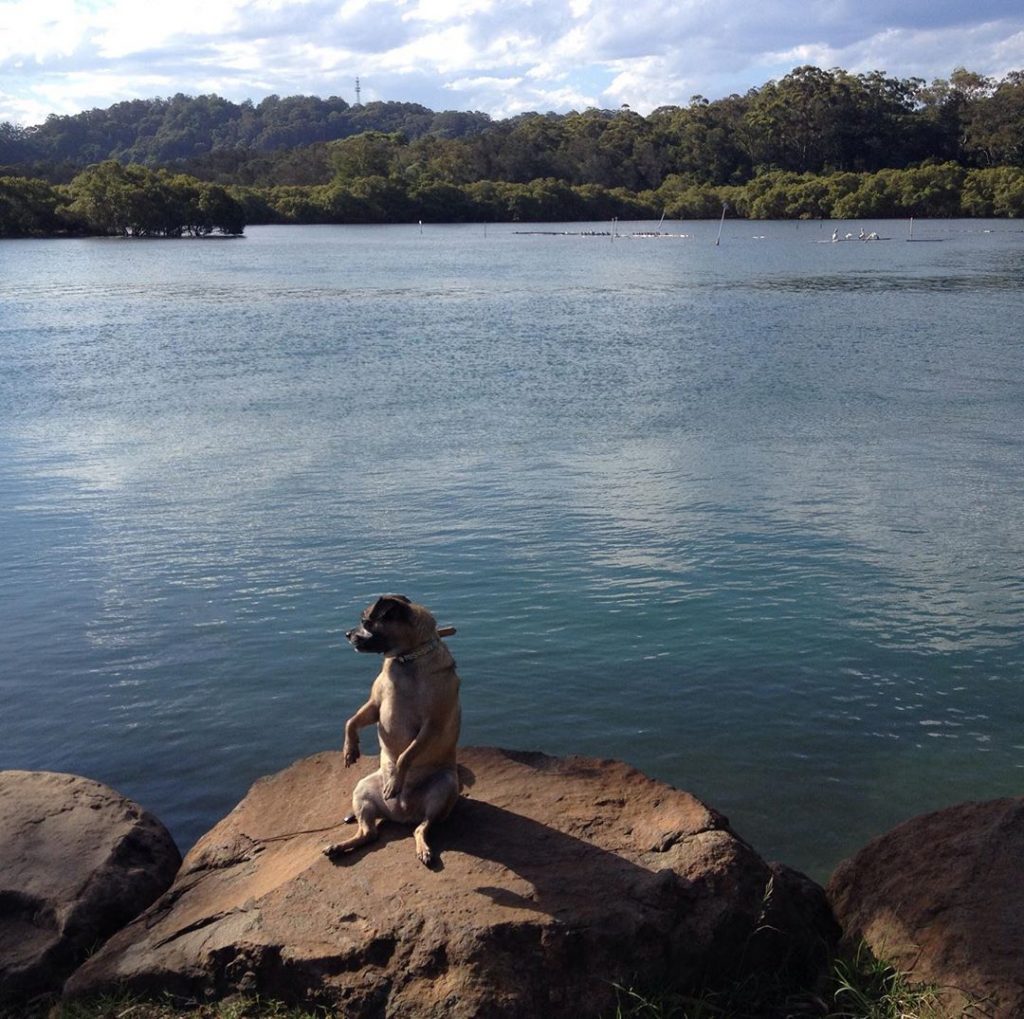 Brunswick Heads Ferry Reserve Holiday Park