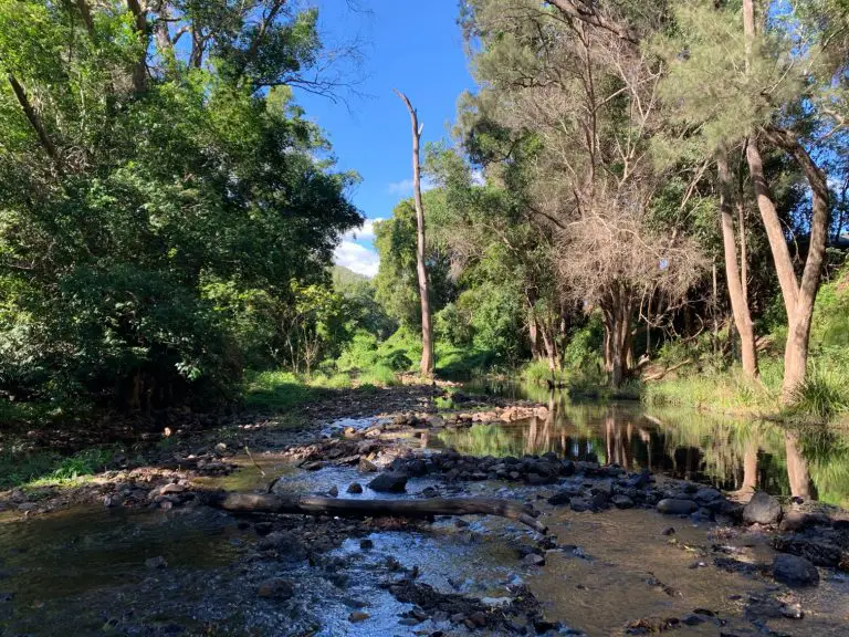 neurum creek