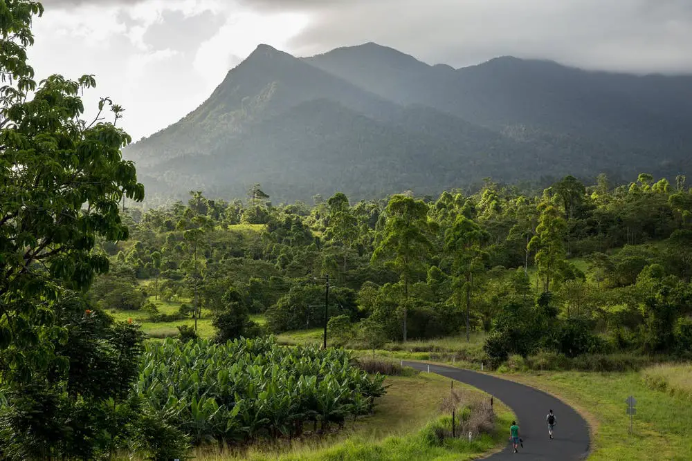 Mount Bartle Frere Camping