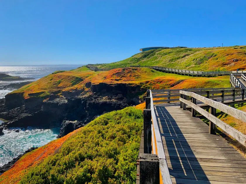 Phillip Island Victoria