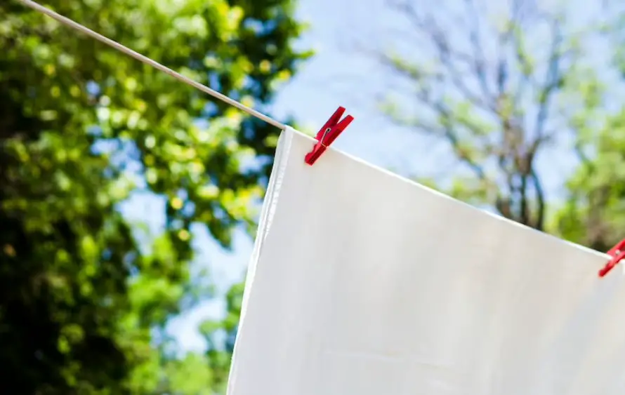 Best material for a camping clothesline