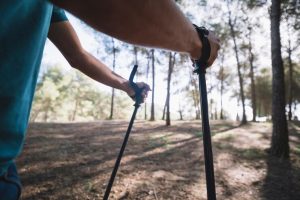 Hiking Poles